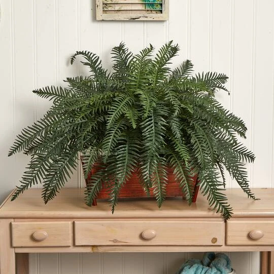 2.5ft. River Fern In Wood Planter 6 2.5ft. River Fern In Wood Planter - Image 6