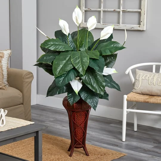 4.75ft. Peace Lily Plant In Stand 3 4.75ft. Peace Lily Plant In Stand - Image 3