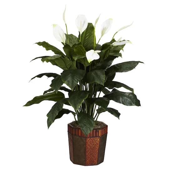4ft. Peace Lily Plant In Wood Vase 1 4ft. Peace Lily Plant In Wood Vase