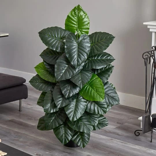 4ft. Potted Taro Plant 3 4ft. Potted Taro Plant - Image 3