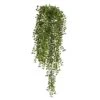3ft. Potted Honey Locust Bush Plant, 2ct.