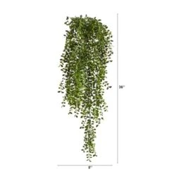 3ft. Potted Honey Locust Bush Plant, 2ct. -Michaels Shop D293979S 12