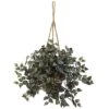 20" Inchplant Hanging Basket