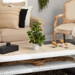 16" Peperomia Plant In Decorative Planter -Michaels Shop D294019S 4