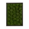 24" Artificial Moss Hanging Frame