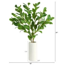 21" Salal Plant In Decorative White Planter -Michaels Shop D294042S 2