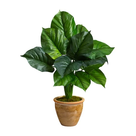 2.5ft. Large Philodendron Leaf Plant In Decorative Planter 2 2.5ft. Large Philodendron Leaf Plant In Decorative Planter - Image 2