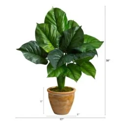 2.5ft. Large Philodendron Leaf Plant In Decorative Planter 7 2.5ft. Large Philodendron Leaf Plant In Decorative Planter -Michaels Shop D294146S 2