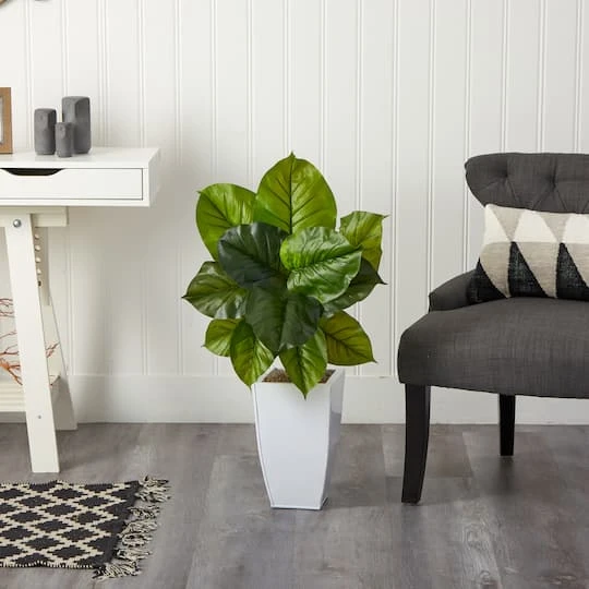 3ft. Large Philodendron Leaf Plant In White Metal Planter 4 3ft. Large Philodendron Leaf Plant In White Metal Planter - Image 4