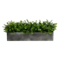 9" Potted Eucalyptus Plant