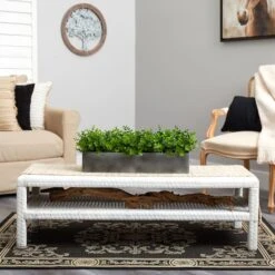 9" Potted Eucalyptus Plant -Michaels Shop D294182S 5