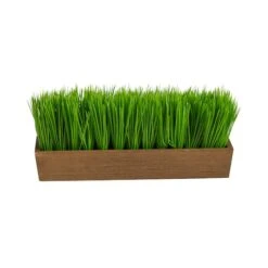 5" Grass Plant In Decorative Planter