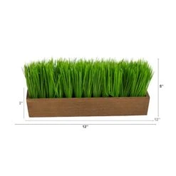 5" Grass Plant In Decorative Planter -Michaels Shop D294187S 2
