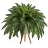 2.5ft. Boston Fern In White Planter With Legs