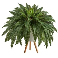 2.5ft. Boston Fern In White Planter With Legs
