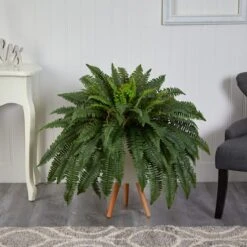 2.5ft. Boston Fern In White Planter With Legs -Michaels Shop D294208S 3