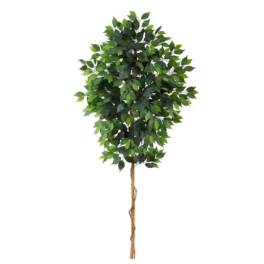 6ft. Single Ficus Tree 2 6ft. Single Ficus Tree - Image 2