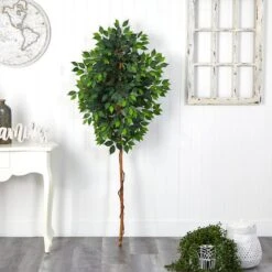 6ft. Single Ficus Tree 7 6ft. Single Ficus Tree -Michaels Shop D294253S 3