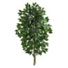 4ft. Single Ficus Tree