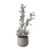 Hello Honey® 24" Succulent In Cement Pot