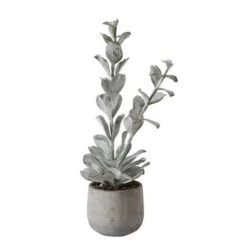 Hello Honey® 24" Succulent In Cement Pot