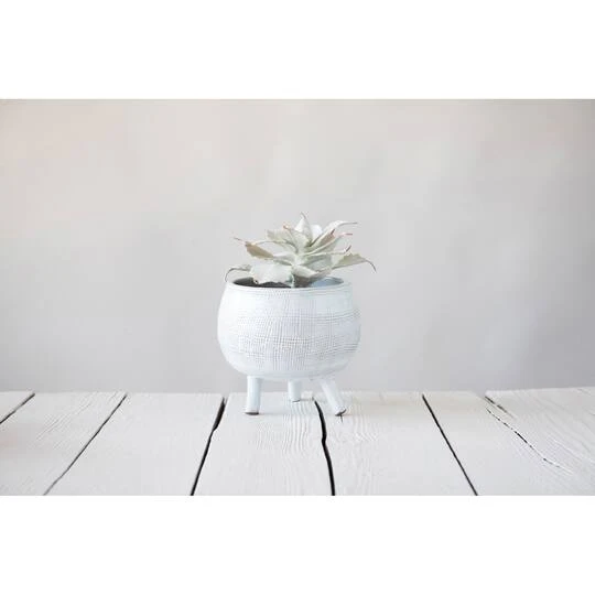 Hello Honey® 7" Footed Terra Cotta Planter 3 Hello Honey® 7" Footed Terra Cotta Planter - Image 3