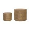 Hello Honey® Gold Stoneware Planters Set