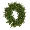 Hello Honey® 13" Green Boxwood Wreath