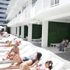 20" Ficus Style Plant Living Wall Panels, 4ct. -Michaels Shop D329628S 7