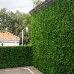 20" Maya Style Plant Living Wall Panels, 4ct. -Michaels Shop D329641S 4