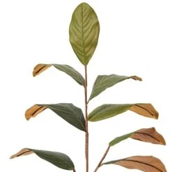 Artificial Green Magnolia Spray, 3ct. -Michaels Shop D333736S 12