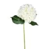 White Hydrangea Stem, 2ct.