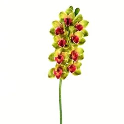 Green Boat Orchid Stem -Michaels Shop D333812S 1 1