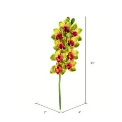 Green Boat Orchid Stem -Michaels Shop D333812S 2