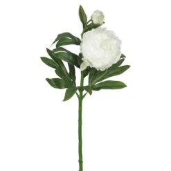 Cream Peony Stem, 3ct. -Michaels Shop D333855S 1 1