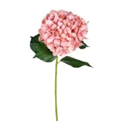 Pink Hydrangea Stem, 2ct.