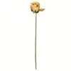 Mustard Rose Stem, 12ct.