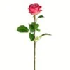 Deep Pink Rose Stem, 6ct.