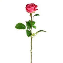 Deep Pink Rose Stem, 6ct.