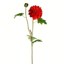 Red Dahlia Stem, 3ct.