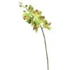 Green Real Touch Orchid Artificial Floral Stem