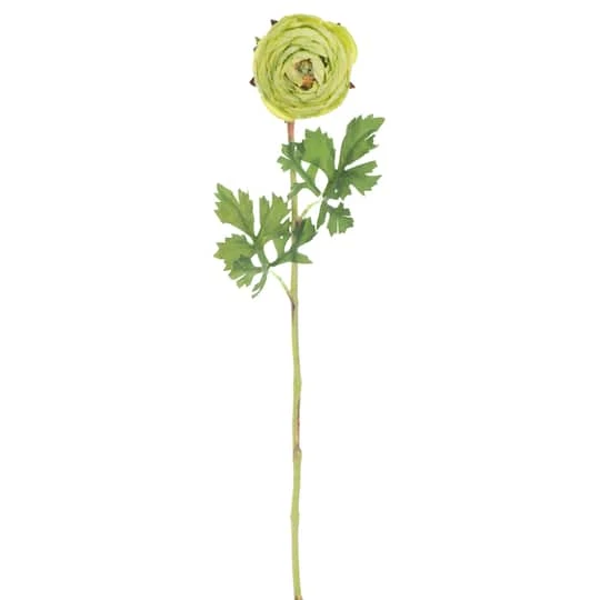 23" Green Ranunculus Artificial Stem, 4ct. 2 23" Green Ranunculus Artificial Stem, 4ct. - Image 2