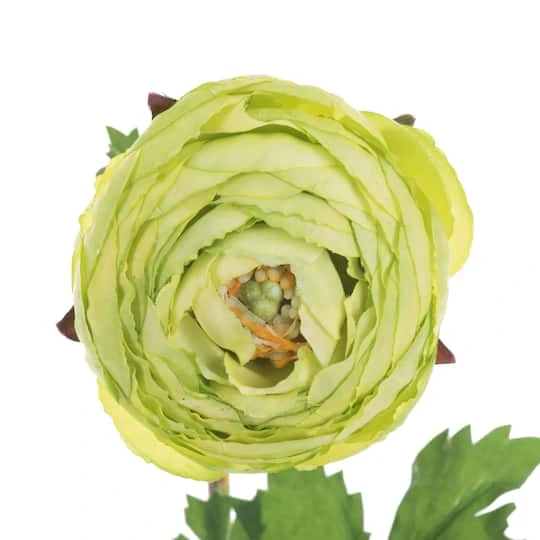 23" Green Ranunculus Artificial Stem, 4ct. 3 23" Green Ranunculus Artificial Stem, 4ct. - Image 3