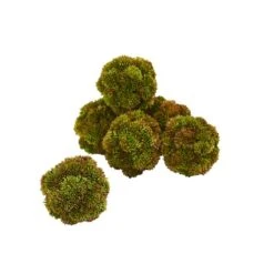 Green Sedum Succulent Spheres, 6ct. -Michaels Shop D350186S 12