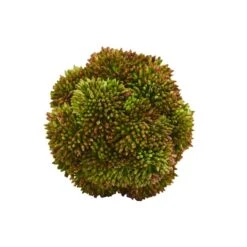 Green Sedum Succulent Spheres, 6ct. -Michaels Shop D350186S 13