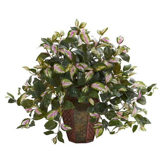 20" Hoya Plant In Decorative Planter 2 20" Hoya Plant In Decorative Planter - Image 2