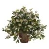 20" Hoya Plant In Decorative Planter