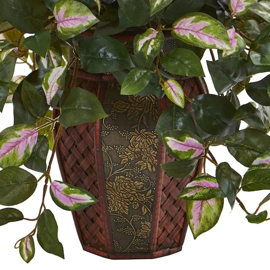 20" Hoya Plant In Decorative Planter 4 20" Hoya Plant In Decorative Planter - Image 4