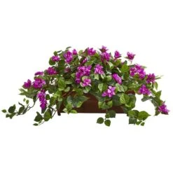 18" Bougainvillea Plant In Decorative Planter -Michaels Shop D350191S 11 1