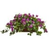 18" Bougainvillea Plant In Decorative Planter